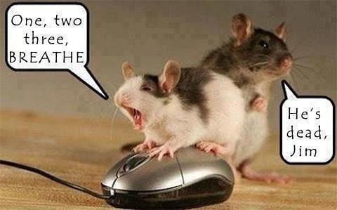 reanimatie